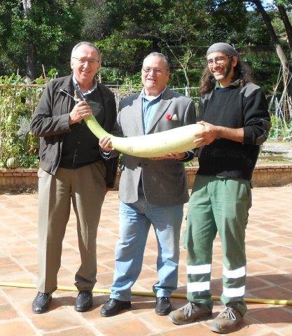 Semillas del Jardín Botánico de Barcelona para el huerto de la penitenciaría de Campos del Río