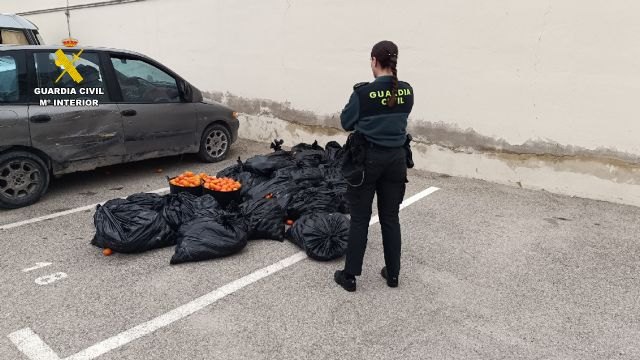 La Guardia Civil detiene a los dos presuntos autores de la sustracción de fruta en una finca de Campos del Río