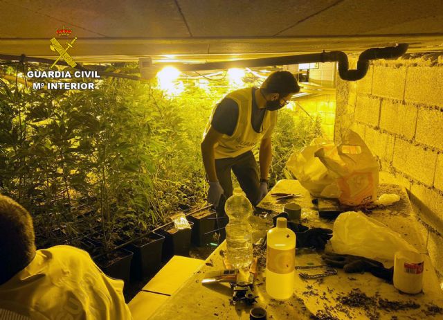 La Guardia Civil desmantela un invernadero subterráneo de con cerca de un millar de plantas de marihuana