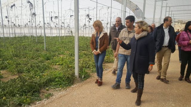 Consejera de Agricultura y alcaldesa visitan las instalaciones de la nueva empresa hortofrutícola en Campos del Río